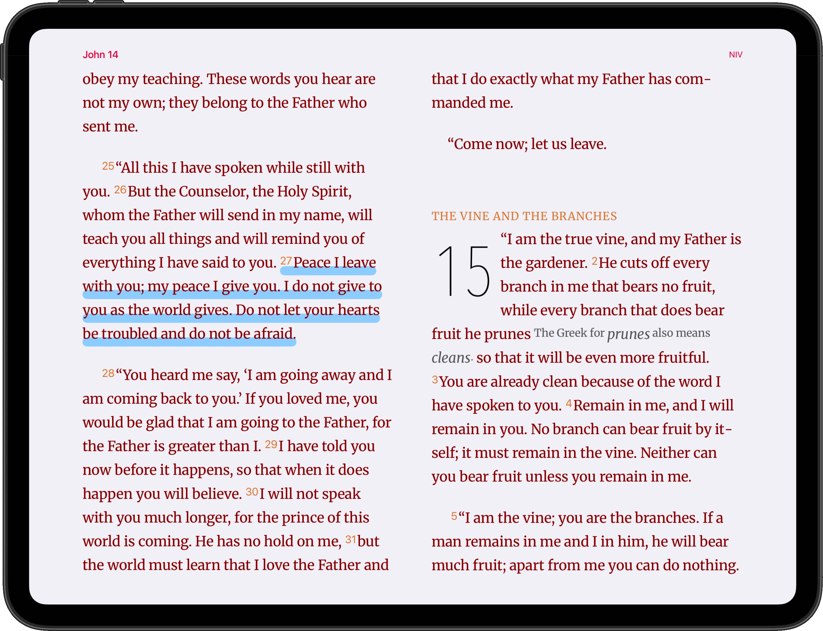 13-inch iPad showing two-page Bible reading without a sidebar