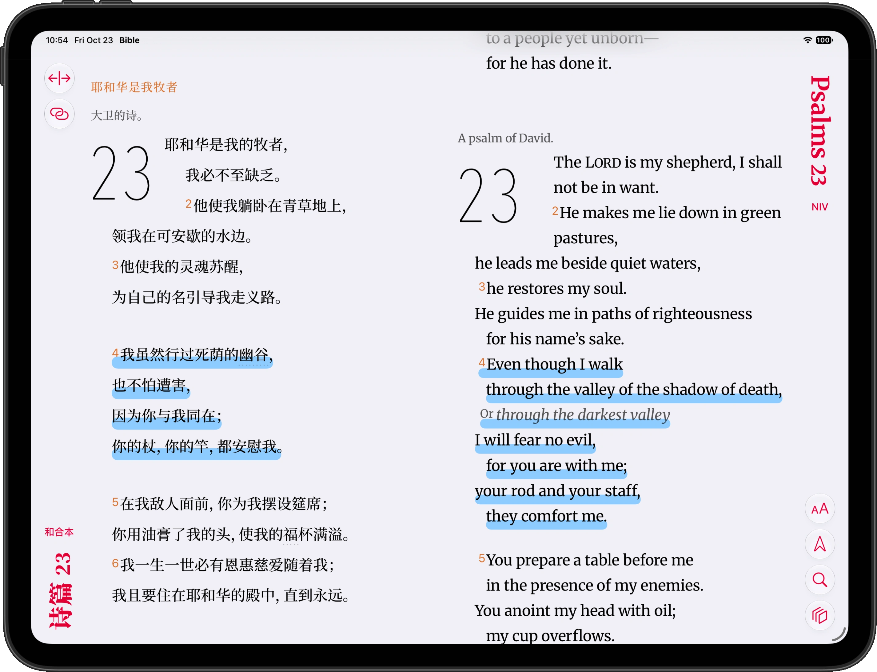 iPad showing English and Chinese Scripture in two reading columns